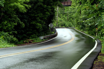 Curvey rural road