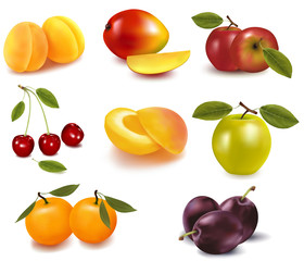 Photo-realistic vector illustration. Super big group of fruit.