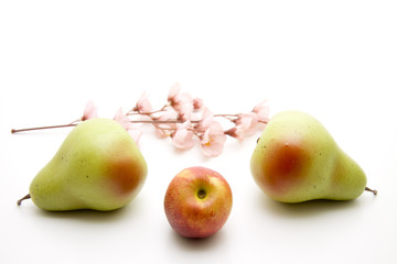 Nektarine und Birnen