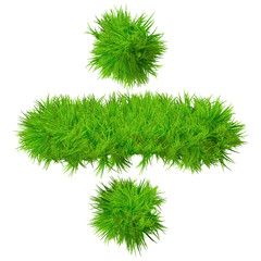 High resolution conceptual grass symbol isolated