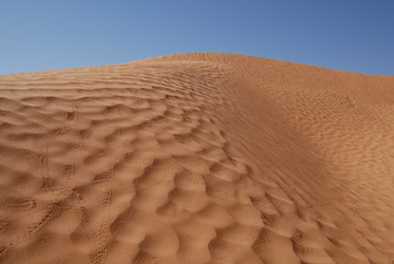 Sahara