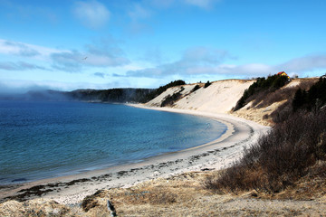 Sandy Beach Landscape In Rural Newfoundland