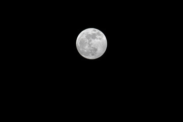 Full Moon with Copy Space
