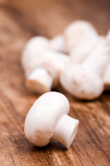 fresh champignon