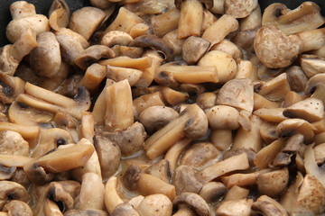 Champignons