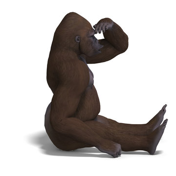 gorilla searching for something. 3D rendering with clipping path