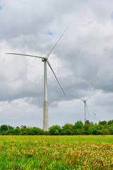 View of some windmills