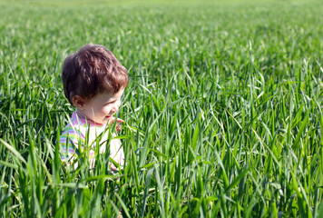 baby in high green grass