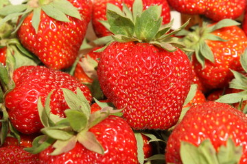 strawberryes