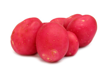Potato red young