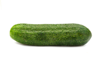 Single cucumber