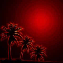 Palm Tree summer background