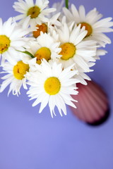 Obraz premium Still-life from flowers