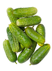 Cucumbers 5