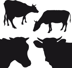 Cow vector