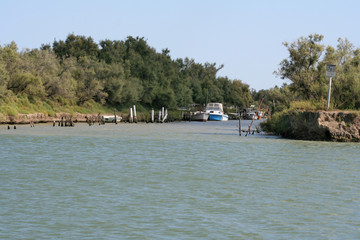 camargue foce rodano