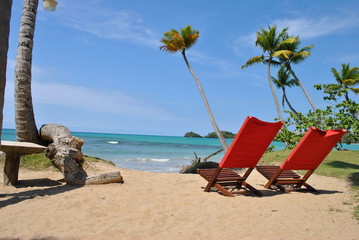 chairs in a beach