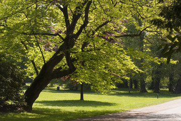 Bremen Park