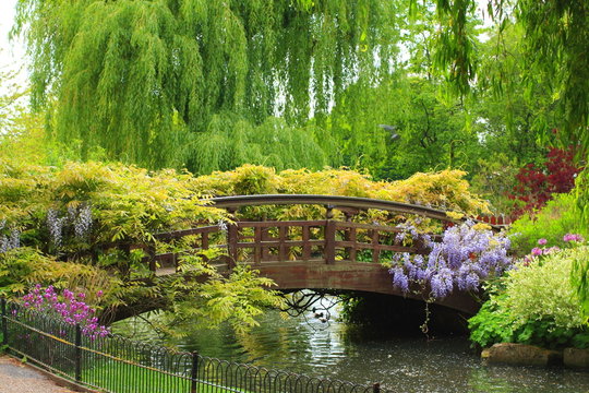 Lovely spring garden