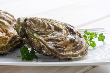 two raw oyster on dish  - ostriche su piatto