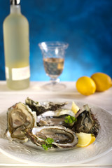 opened oyster on dish- piatto di ostriche