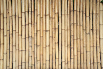 Bamboo background