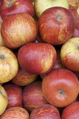 Äpfel