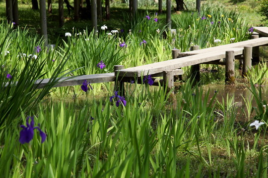 21 Best 伊勢物語 Images Stock Photos Vectors Adobe Stock