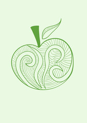 Vector stylized  illustration of fresh green apple