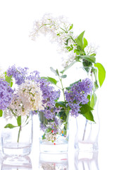 Lilac bouquets.