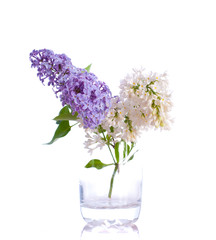 Lilac bouquets.