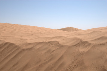 Sandüne in der Sahara - obrazy, fototapety, plakaty