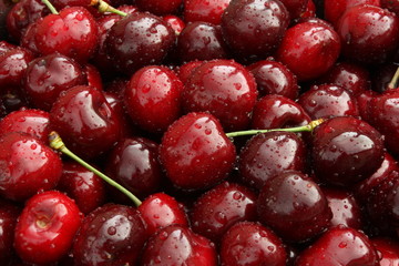 sweet cherry