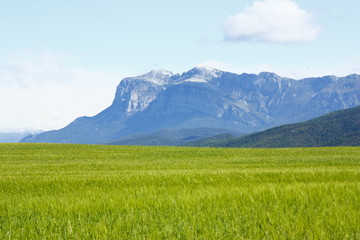 peña montañesa en campo verde