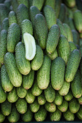 Fresh cucumbers on street market for sale
