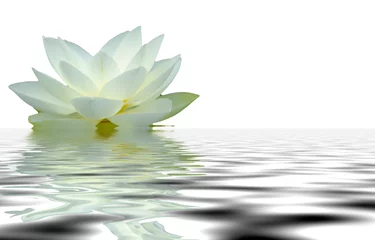 Crédence de cuisine en verre imprimé fleur de lotus reflet fleur de lotus