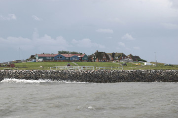 Hallig Hooge