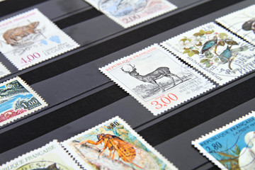 Collection de timbres 1/4