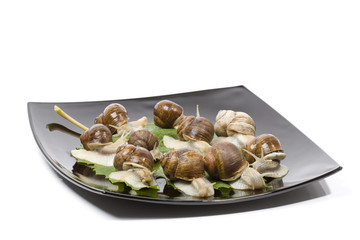 Escargots in a black plate on a white background