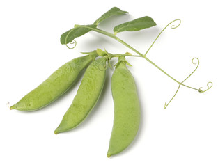 Green peas pods