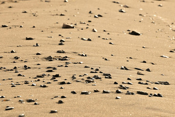 beach with stones
