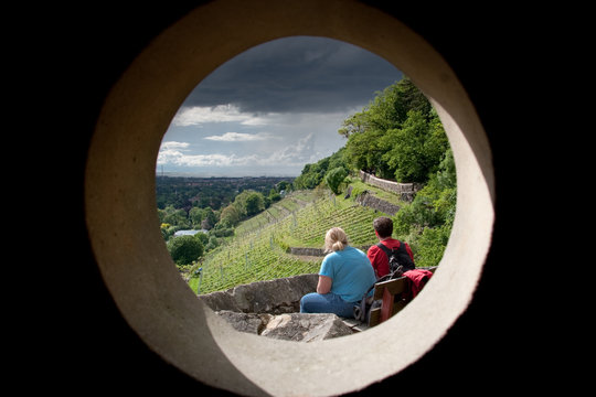 Blick zum Pillnitzer Weinberg