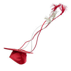 Graduation Cap in Air