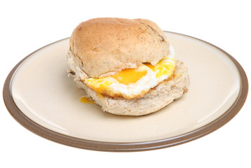 Fried Egg Roll