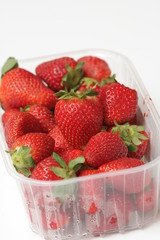 barquette de fraises