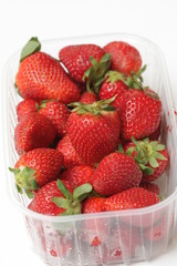 barquette de fraises