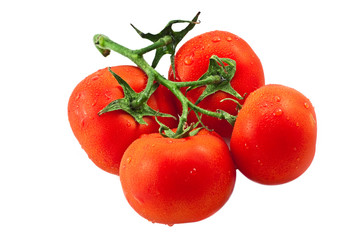 Tomatoes