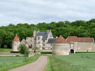 Fototapeta na wymiar Château de Faulin, France