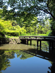 Fototapeta na wymiar 20100601_ ogród japoński