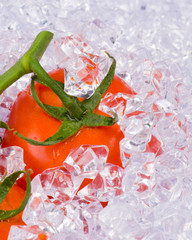 Tomates sur glace